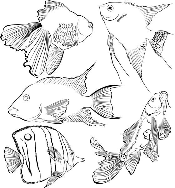 Poissons d'aquarium — Image vectorielle