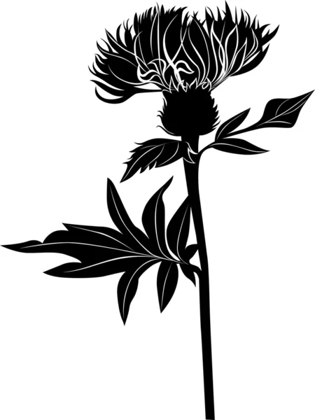 Chardon fleurs — Image vectorielle