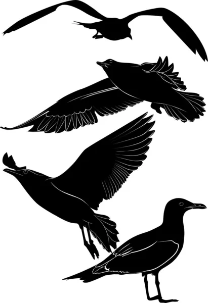 Vettore degli uccelli isolato — Vettoriale Stock