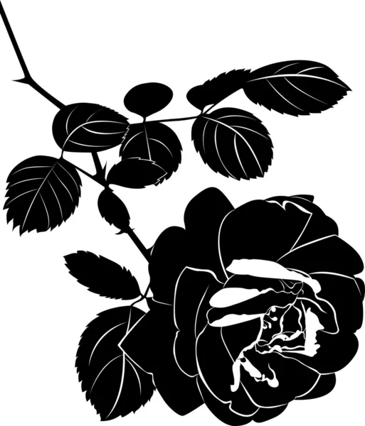 Schwarze Silhouette der Rose — Stockvektor