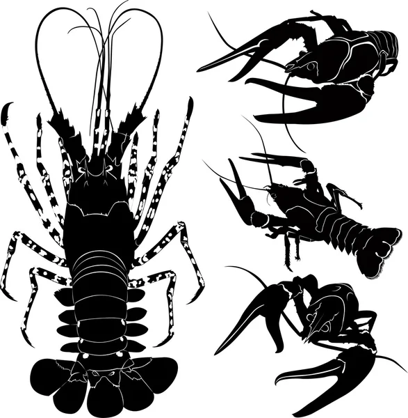 Lobster crawfish — Stock Vector