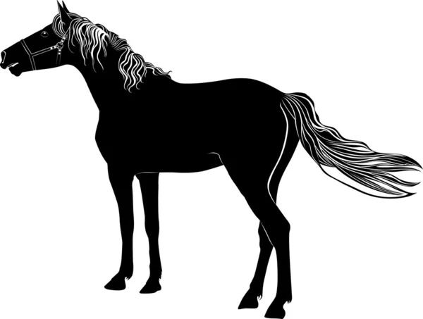 Cheval — Image vectorielle