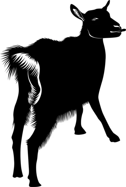 Cabras — Vector de stock