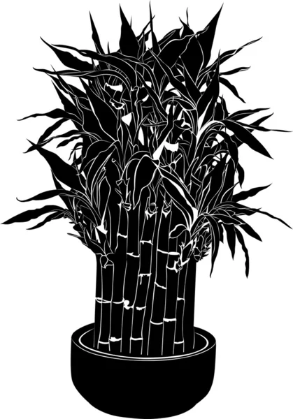 Zwarte bamboe — Stockvector
