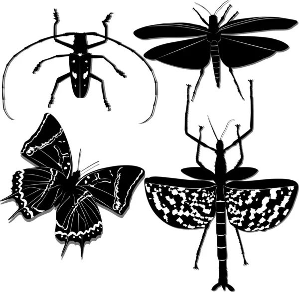 Insectos aislados — Archivo Imágenes Vectoriales