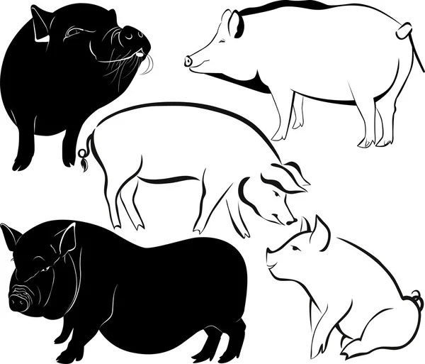 Pigs silhouettes — Stock Vector