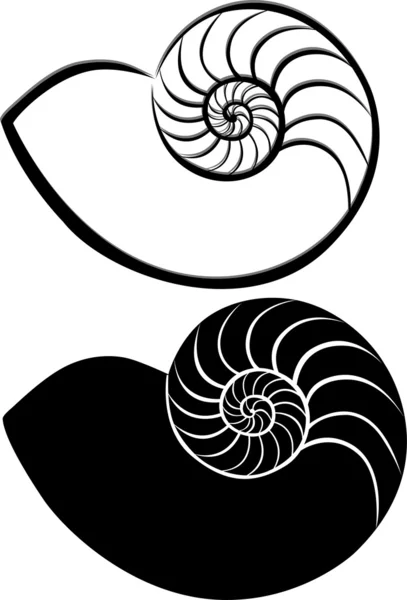 Shell seashells — Stock Vector