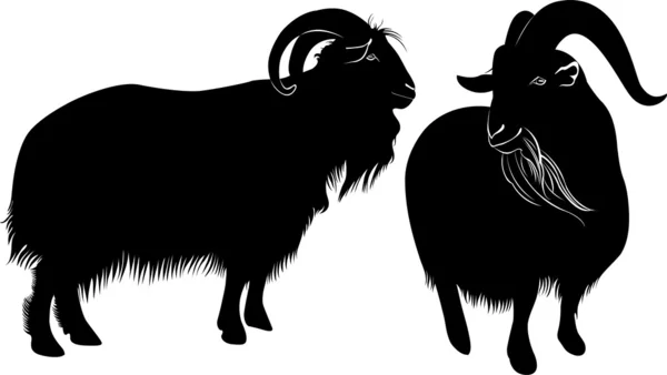 黑色和白色的山羊 — 图库矢量图片