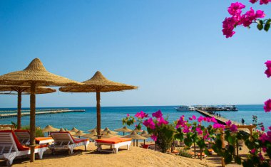 Mısır 'ın kızıl denize bakan güzel plajı. Seyahat. dinlenme.