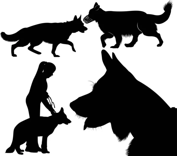 Набір Собака Силуети Німецької Вівчарки — стоковий вектор