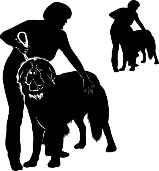 矢量轮廓狗表演 被白色背景隔离的女人和狗品种St Bernard — 图库矢量图片