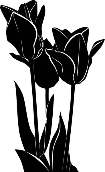 Bouquet Tulips Vecteur Silhouette Fleurs Tulipes Isolées Sur Fond Blanc — Image vectorielle