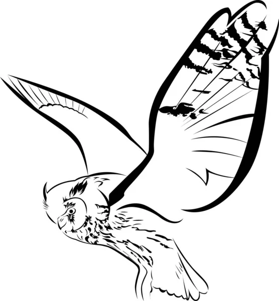 Vektor Zeichnung Vogel Eule Isoliert Auf Weißem Hintergrund Eulenflug — Stockvektor
