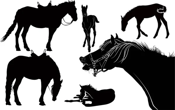 馬のコレクションベクトルシルエット白い背景に孤立した敵 馬の動物セット — ストックベクタ