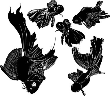 Koleksiyon siluet vektör balığını beyaz arkaplanda izole et