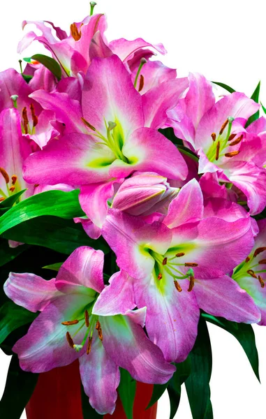 Close Bouquet Pink Lilies Natural Lilly Floral Background Texture Lily — Foto Stock