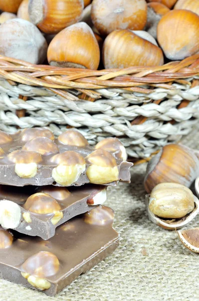 Chocolate and hazelnuts — Stock Photo, Image