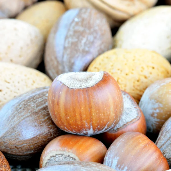 Mixed nuts — Stock Photo, Image