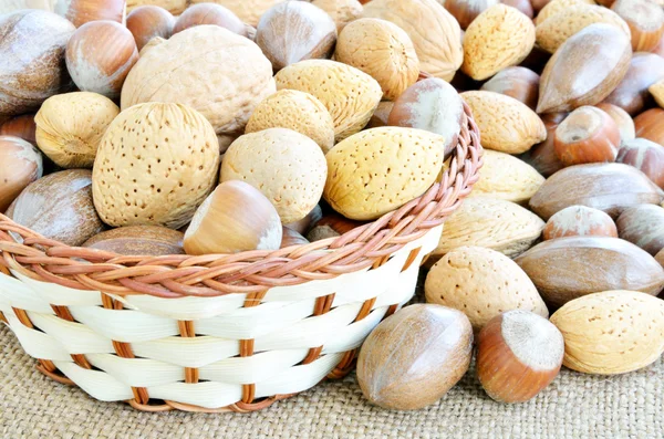 Sepette fındık var.