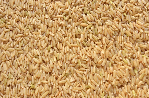 Textura de fundo de arroz marrom — Fotografia de Stock