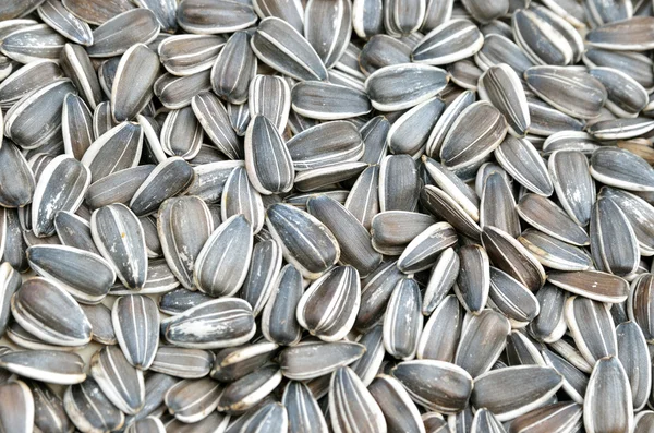 Ayçekirdeği arka planı