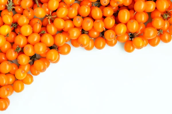 Beyaz bir arka planda seabuckthorn