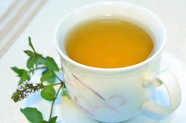 nane çayı ile taze nane yaprakları