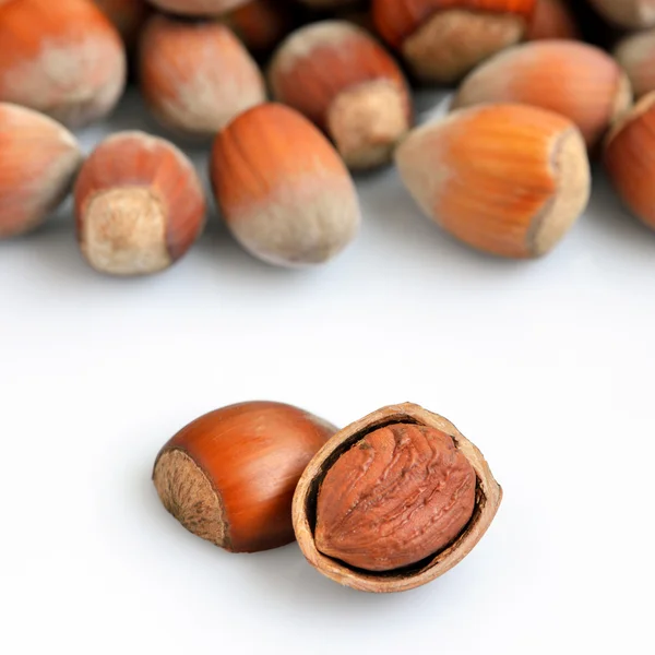 Hazelnut pada latar belakang putih — Stok Foto