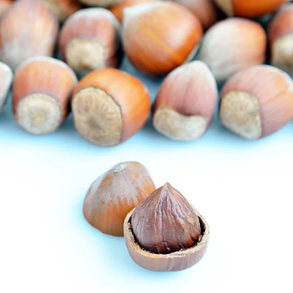 Hazelnuts over a white background — Stock Photo, Image