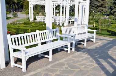 Şehir Parkı içinde yeni ahşap Bank