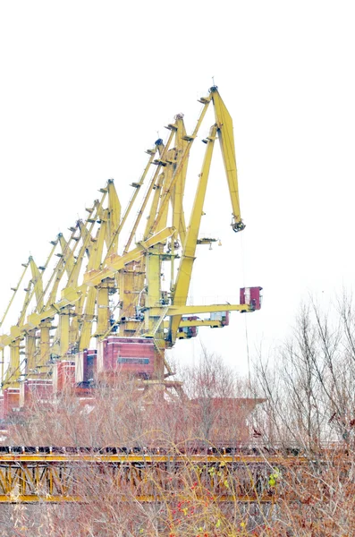 Kranar i hamn — Stockfoto