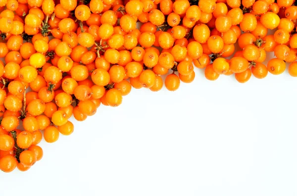Beyaz bir arka planda seabuckthorn