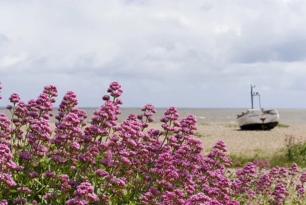 Verlaten boot op het strand — Stockfoto