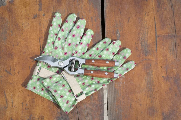 Garden clippers and gloves — Stock Photo, Image