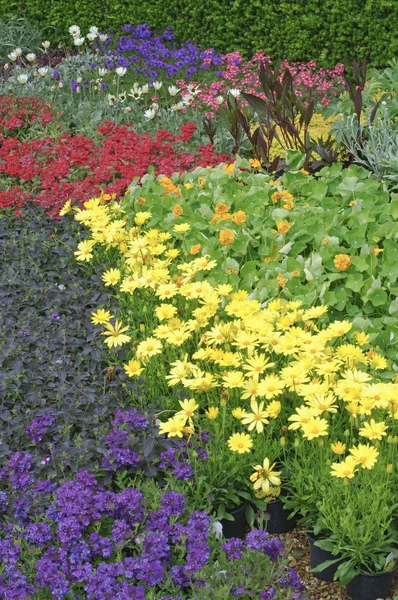 Engelse tuin bloem bed planten — Stockfoto