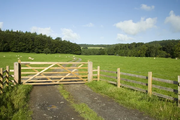 Farm gate, Lake District, UK — Stock Photo, Image
