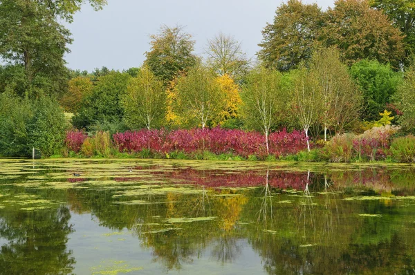 Otoño en el parque inglés —  Fotos de Stock