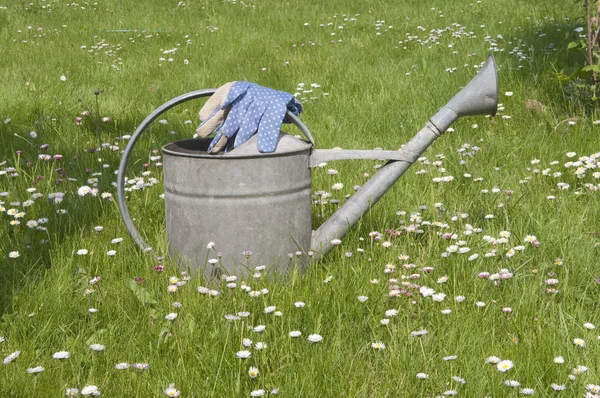 Blå trädgård handskar på vattenkanna — Stockfoto