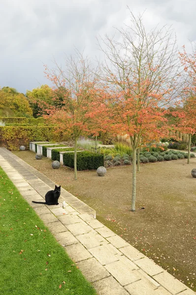Jardín inglés de otoño —  Fotos de Stock
