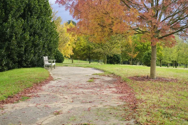 Svenska hösten parkområde — Stockfoto