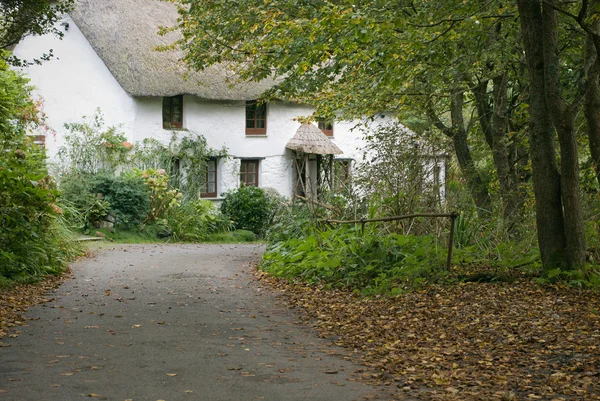 Cornouailles village chalet — Photo