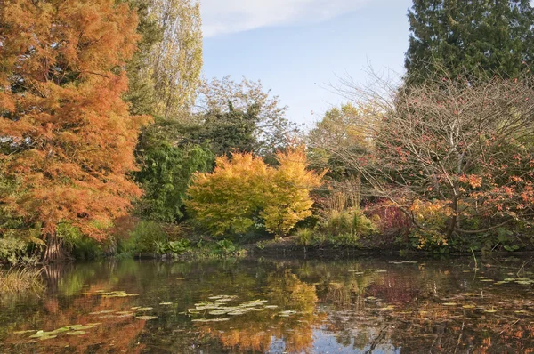 English park in autumn — Stock Photo, Image