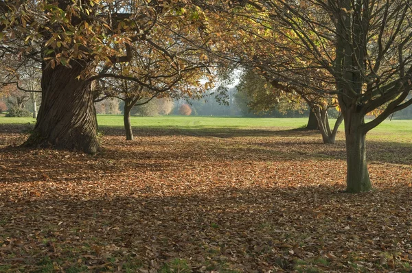 Englischer Herbst — Stockfoto