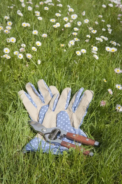 Gartenhandschuhe und Gartenschere auf dem Rasen — Stockfoto