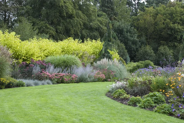Blooming English garden general view — Stock Image Blooming English garden general view Stock Picture