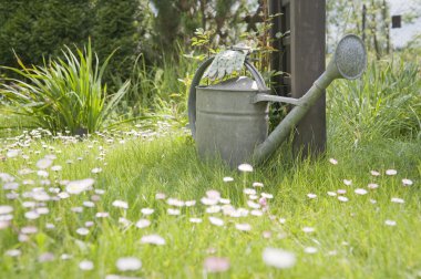 sulama olabilir ve bahar bahçe bahçe eldiven