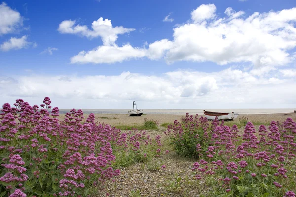 tekneler sahilde terk edilmiş