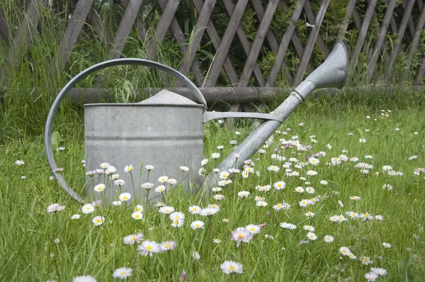 Tavaszi kert fém locsolókanna — Stock Fotó