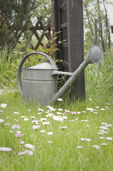 Metalen gieter op gazon — Stockfoto