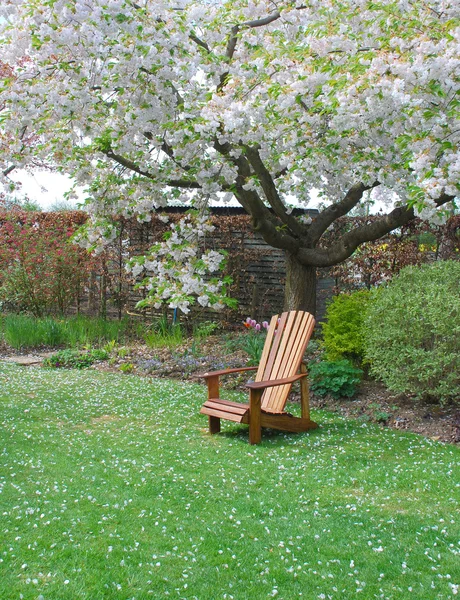 Gartenbank — Stockfoto